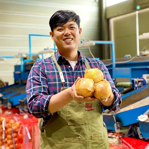 수토마켓 햇양파 산지직송 국산양파 무안양파 양파10kg 5kg 2.5kg