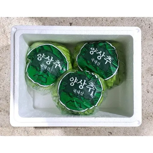 Green one 양상추 3통