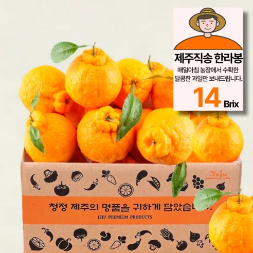 제주농원 14Brix 당도선별 한라봉 가정용, 3kg(15과 내외..., 1박스